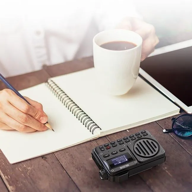 Super-Portable Bluetooth Speaker with FM Radio and Multimedia Playback